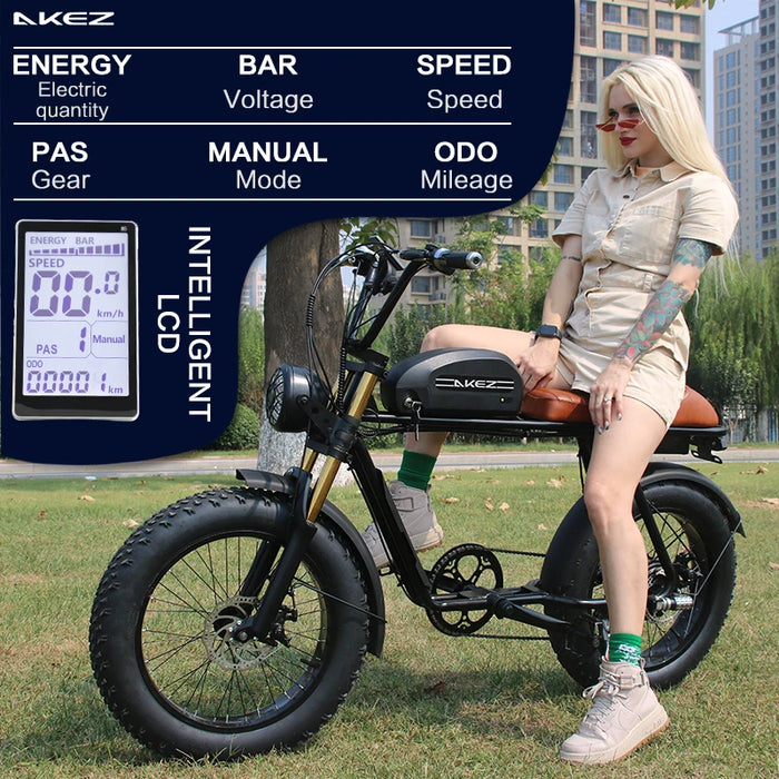 1500W Fat Tire Electric Bike